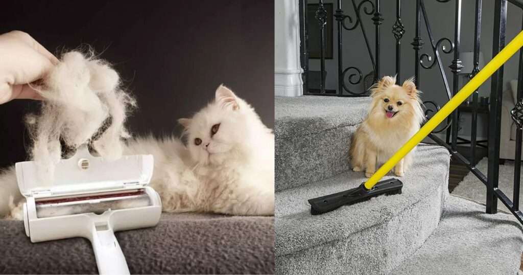 How to Get Pet Hair Out of Carpet Without Vacuum