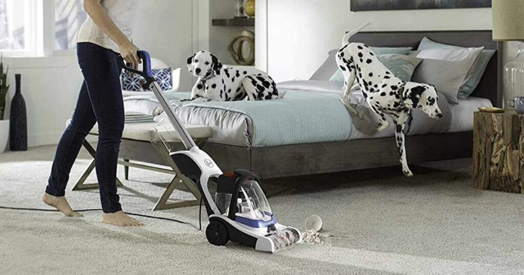 Is Hoover Carpet Cleaner Safe for Pets