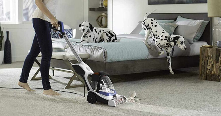 Pet-Friendly Cleaning: Is Hoover Carpet Cleaner Safe for Pets?