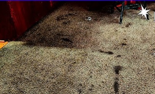 How to Clean Heavily Soiled Carpet